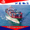 DDU Sea Freight Forwarder China To USA Dubai Australia Thailand Malaysia